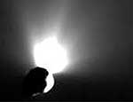 Imagem do cometa Tempel 1 após o impacto com o projétil
