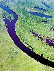 Rio e lagoas cortam floresta amaznica intacta na regio do alto Xingu, norte de Mato Grosso