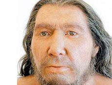Reconstituio de neandertal