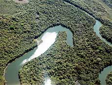 Vista area do rio Tartaruga, um dos afluentes do rio Xingu