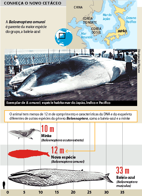 Das baleias a insetos ciborgues: uma história de animais espiões