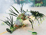 Nani tenta livrar-se de enfeite em chamas durante desfile