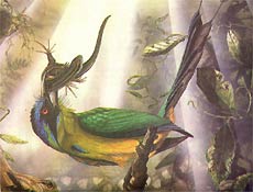 O uru-de-coroa-azul, ilustrao considerada mais difcil pelo autor