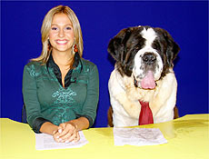 Rede TV! contrata cachorro para apresentar "telejornal" do programa "Late Show"