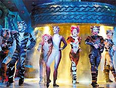 Cena do musical "Cats", que chega hoje a So Paulo e roda o mundo h quase 25 anos