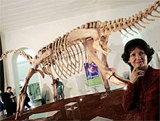 Museu Nacional do Rio de Janeiro exibe fssil de dinossauro de 80 milhes de anos