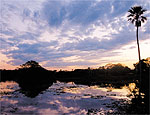 Poente no Pantanal sul-matogrossense