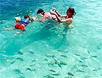 Litoral de Alagoas  indicado para quem adora mergulhar