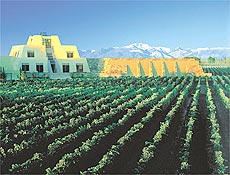 Vista da vincola Catena (Mendoza, Argentina)
