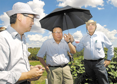 Chineses da provncia de Hebei em campo de pesquisa de soja em Gois com o secretrio Alcio Marstica (Agricultura)