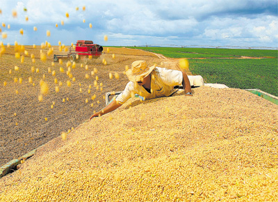 Motorista recolhe soja para que o produto no caia de caminho<br> em carregamento de colheita de fazenda em Balsas (MA)