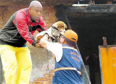 O vira-lata Tobby, um dos três cães que viviam na casa atingida por avião no domingo, é resgatado dois dias depois, sem ferimentos