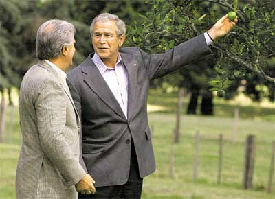 Observado pelo presidente do Uruguai, Tabar Vzquez, George W. Bush colhe um limo no parque Anchorena, em Colnia