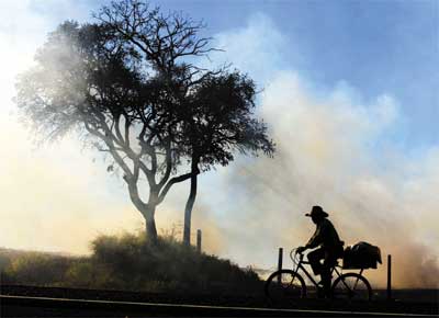 Ciclista passa por queimada na rodovia Altino Arantes, perto de Altinpolis, na divisa entre SP e MG