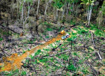 Tratores derrubam rvores para formao de pastos na regio de Alta Floresta (MT), um dos municpios atingidos pelas medidas do governo