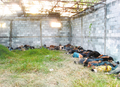 Corpos de homens e mulheres supostamente mortos por traficantes em San Fernando