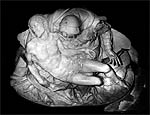 Piet, obra de Michelangelo, na Baslica de So Pedro