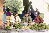 Comerciantes no mercado de Thimphu