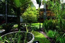 Jardim com projeto de Klra Anna Kaiser Mori no bairro do Pacaembu