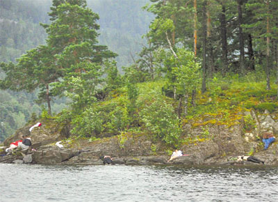 Vtimas cadas na costa da ilha de Utoeya (Noruega), cerca de uma hora aps a polcia informar que um homem havia atacado o acampamento no local