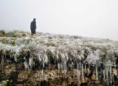 Gelo no morro das Torres, em Urupema (SC)