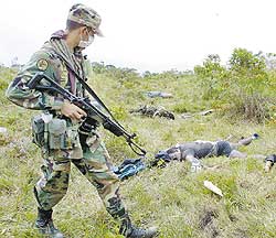 Polêmica entre o Exército colombiano e organizações camponesas