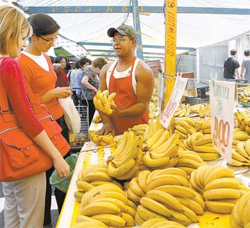 Folha de S.Paulo - Bananas - 20/09/2009